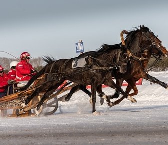 Итоги и рекорды юбилейного фестиваля «Сибирская Масленица»
