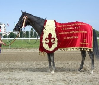 Большой скаковой праздник в Нальчике
