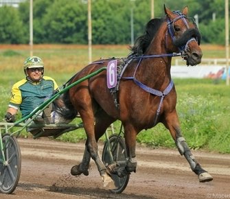 Приз «Барса» и главные орловские призы разыграют в Раменском 24 октября
