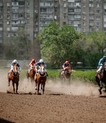 Крупный розыгрыш на Ростовском ипподроме