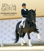 NEVERLAND: История мечты и стремления к совершенству