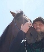 Рамзан Кадыров вернул украденного в Чехии жеребца Зазу