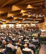 Деньги – на ветер… в гривах