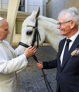 Папе Римскому Льву XIV подарили арабского жеребца
