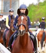 Учат в школе?