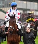 Трагедия в Кемптон-Парке: на скачках погибли три лошади