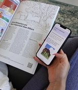 Им нужны картинки: комикс о лошадях стал главным учебником для конников Финляндии