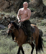 Расследование в британской полиции: комиссар просил повторить фото Путина на лошади