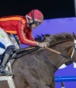 «Русские сезоны» в Дубае