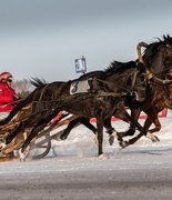 Итоги и рекорды юбилейного фестиваля «Сибирская Масленица»