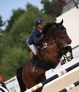 Российские всадники допущены к молодежным Олимпийским играм в Дакаре!