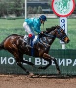 Суд 29 апреля — ещё один шаг в судьбе Ростовского ипподрома