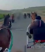 Сицилийские мафиозные бега со стрельбой