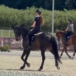Успехи на международном турнире по выездке в Польше