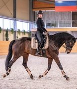 Российский кандидат в Комитет по выездке FEI: Марина Афрамеева