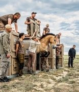 Восемь лошадей Пржевальского из Европы обрели дом в Казахстане