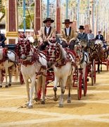 Feria–феерия!