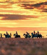 7 непридуманных пробежных историй