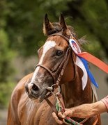 Джамила Маф установила новый всероссийский рекорд