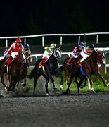 Большой конный праздник в Казани: скачки, бега и турниры сильнейших