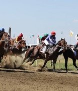 Итоги скачек на Кубок Губернатора Краснодарского края