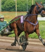 Приз «Барса» и главные орловские призы разыграют в Раменском 24 октября