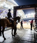 Лошадь, которая помогла вырасти двум чемпионам: Стардаст завершила спортивную карьеру