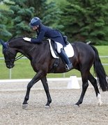 Три лошади погибли в аварии по дороге на чемпионат Канады по выездке