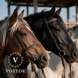 В Москве впервые пройдет Национальный конный аукцион VOSTOK