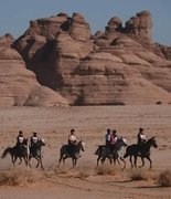  FEI отстранила всадника и тренера после гибели лошади на пробегах